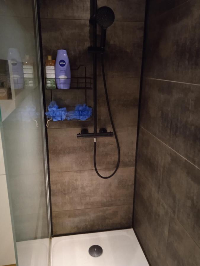 Tour Medievale De L'An Mille Apartment Loudes ภายนอก รูปภาพ