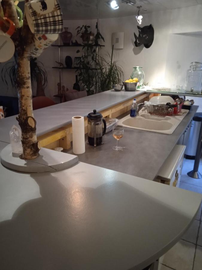 Tour Medievale De L'An Mille Apartment Loudes ภายนอก รูปภาพ